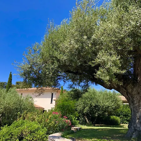 Nature & Design Bed & Breakfast Bonifacio (Corsica)