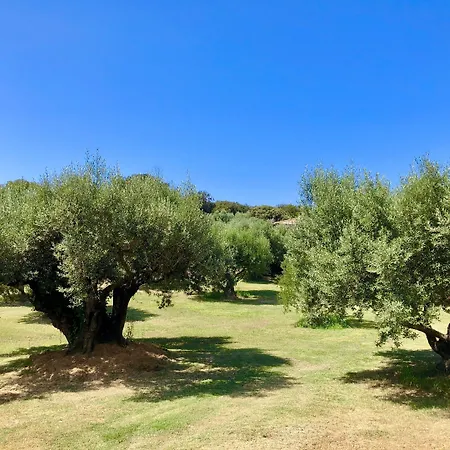 Bed & Breakfast Nature & Design