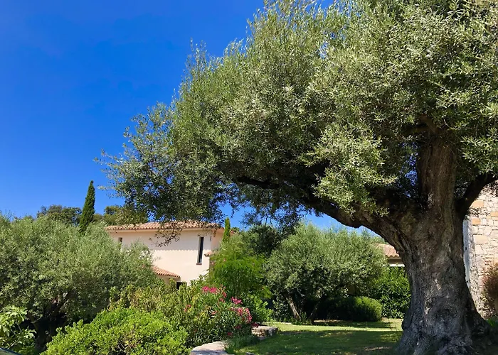 Nature Et Design Couette-café Bonifacio (Corsica)